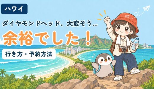 ダイヤモンドヘッド登山の行き方と予約方法を解説する記事のアイキャッチ。「ダイヤモンドヘッド、大変そう…余裕でした！」のコピーとともに、ワイキキの海とダイヤモンドヘッドを見下ろす岩場で、すぬが拳を突き上げ、かぬが羽を広げて喜んでいるイラスト